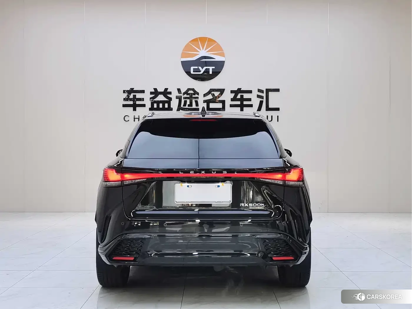 Lexus RX id 4570459 из Китая 13