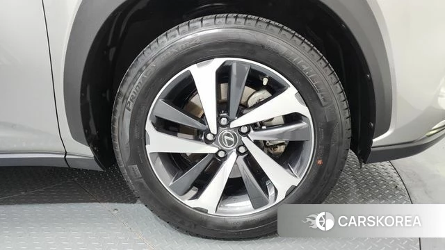 Lexus NX300h id 4638000 из Кореи 13