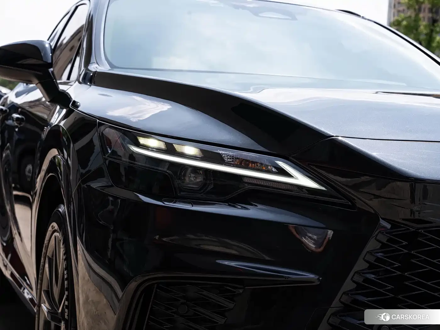 Lexus RX id 4685867 из Китая 13