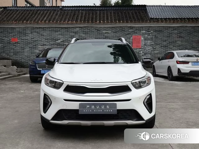 Kia Yi Ran id 4367534 из Китая 13