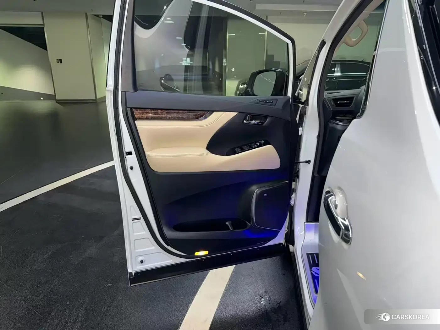 Toyota Elfa id 4655132 из Китая 14