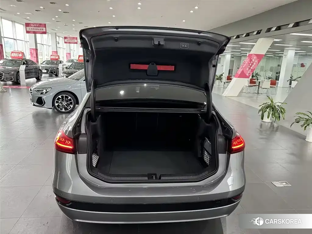 Audi A6L e-tron id 4538840 из Китая 13