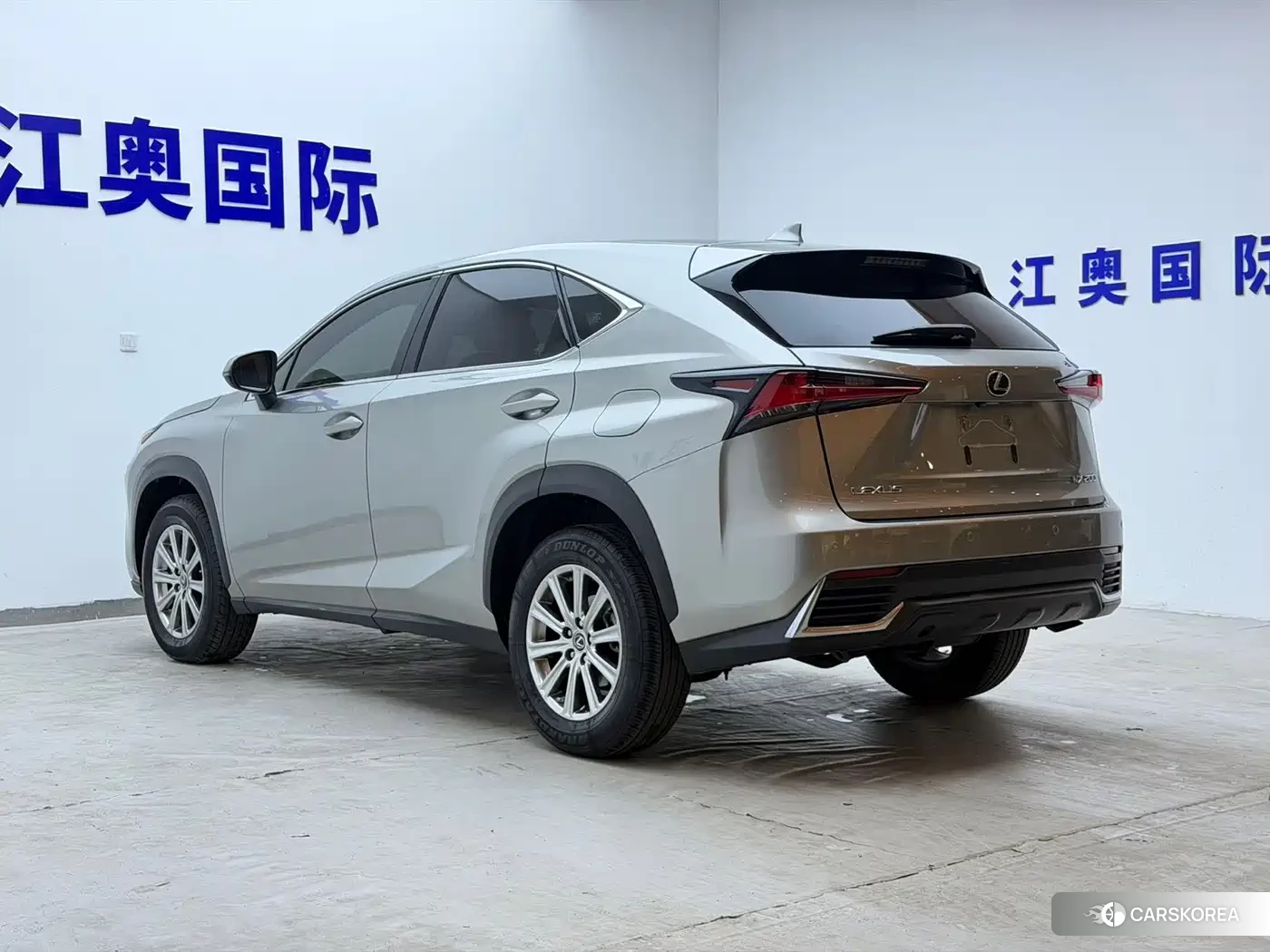 Lexus NX id 4548294 из Китая 13