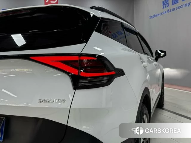 Kia Lion Platinum expands the world id 4209049 из Китая 13