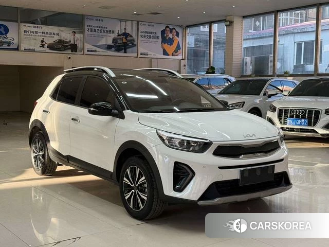 Kia Yi Ran id 4367084 из Китая 13