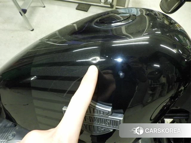 Harley-Davidson Sportster 48 XL1200X id 4238010 из Японии 13