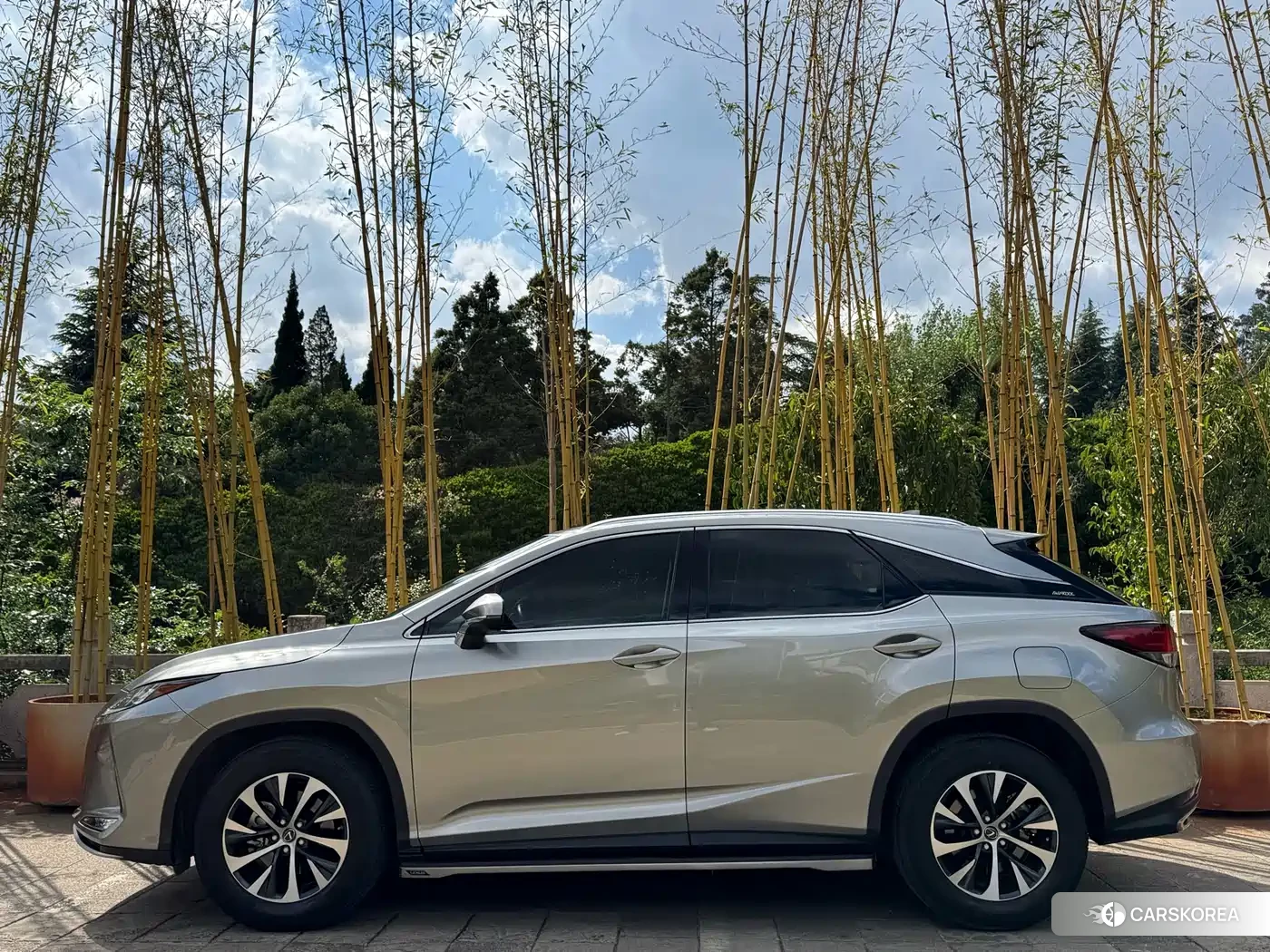 Lexus RX id 4601076 из Китая 13