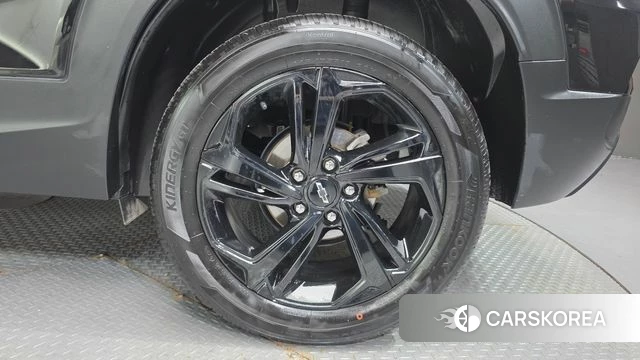 Chevrolet (GM Daewoo) Trailblazer id 4433219 из Кореи 13