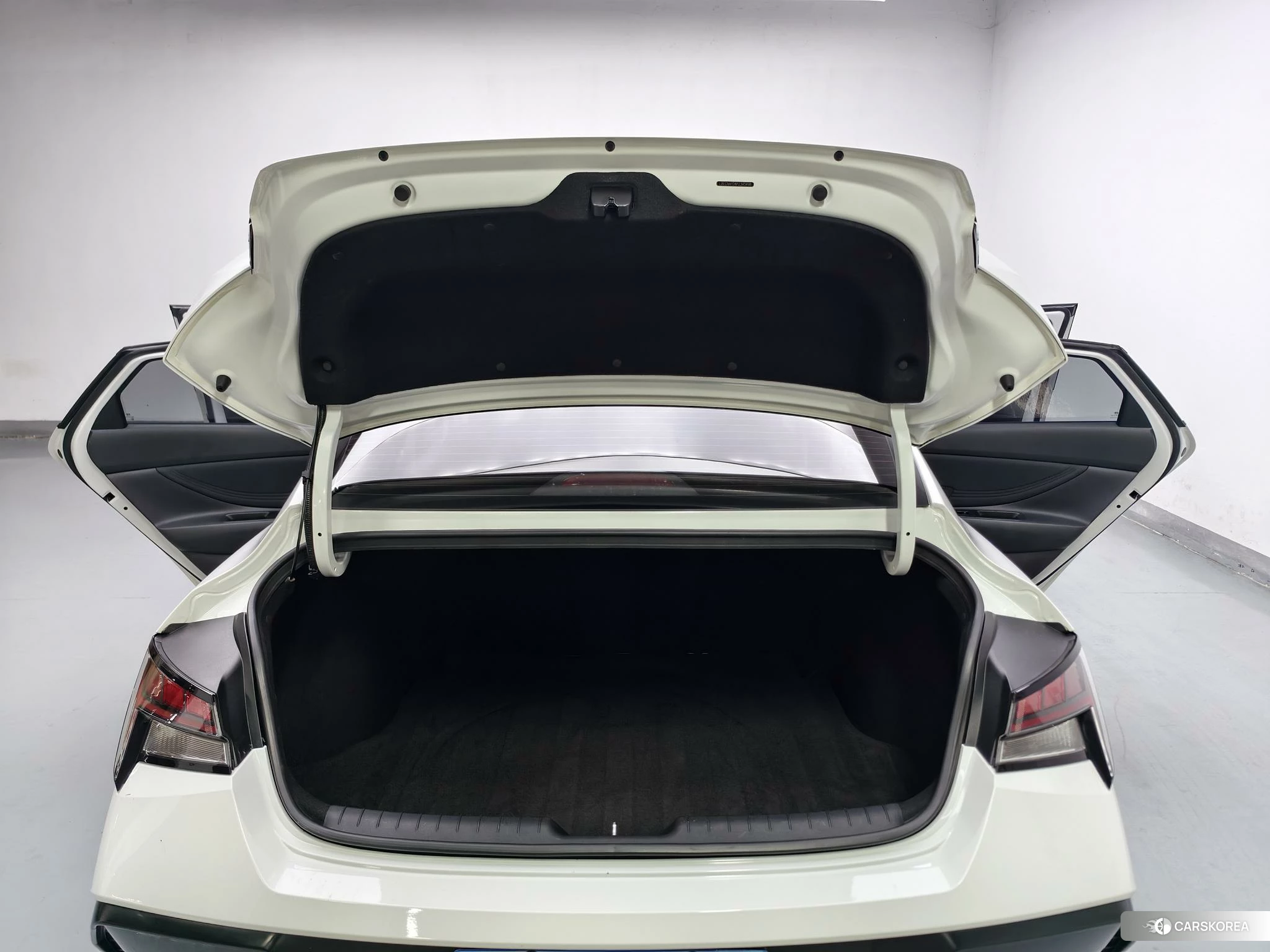 Hyundai Elantra id 4420394 из Китая 13
