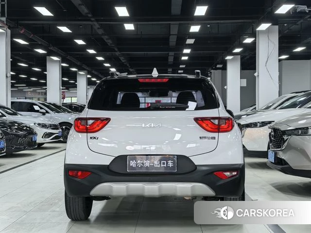 Kia Yi Ran id 4291416 из Китая 13