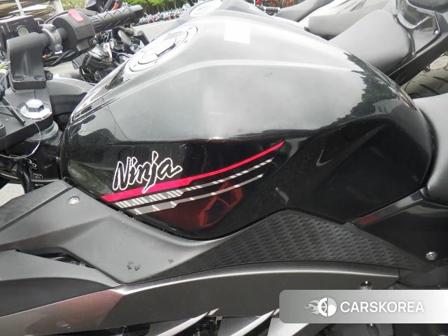 Kawasaki NINJA 250 ABS id 4192754 из Японии 13