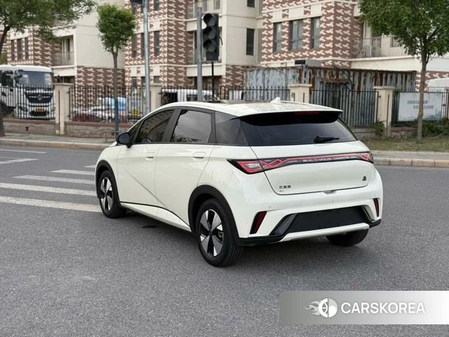 BYD dolphin id 4207077 из Китая 13