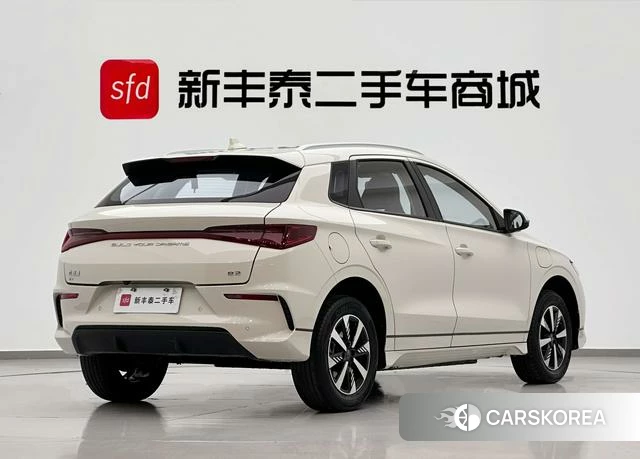 BYD e2 id 4198980 из Китая 13