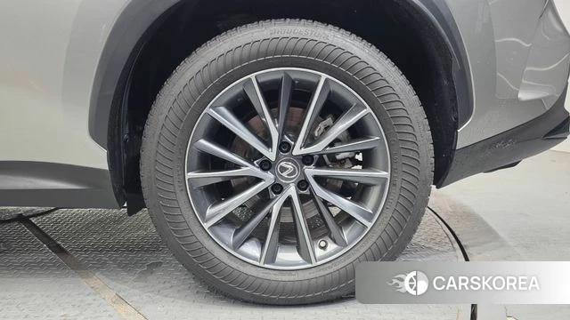 Lexus NX450h + 2nd generation id 4561145 из Кореи 13