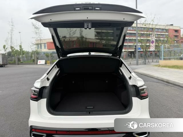 Volkswagen Tiguan X id 4216952 из Китая 13
