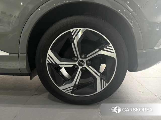 Audi Q4 e-tron id 4256918 из Китая 13