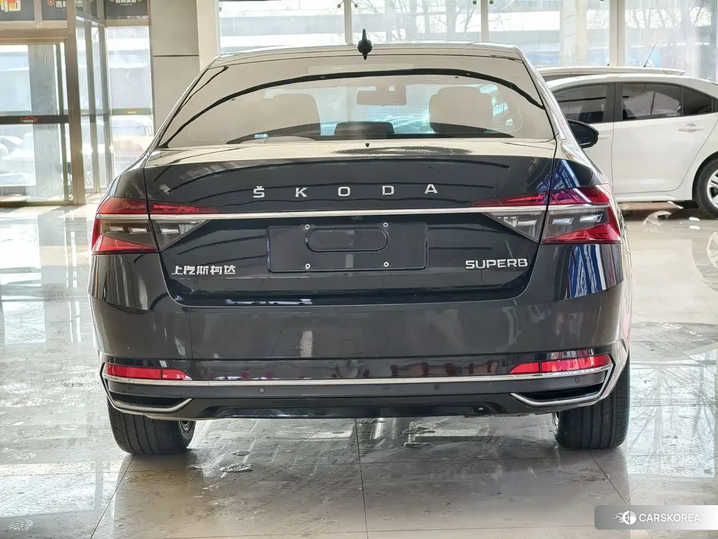 Skoda Speed pie id 4547484 из Китая 13