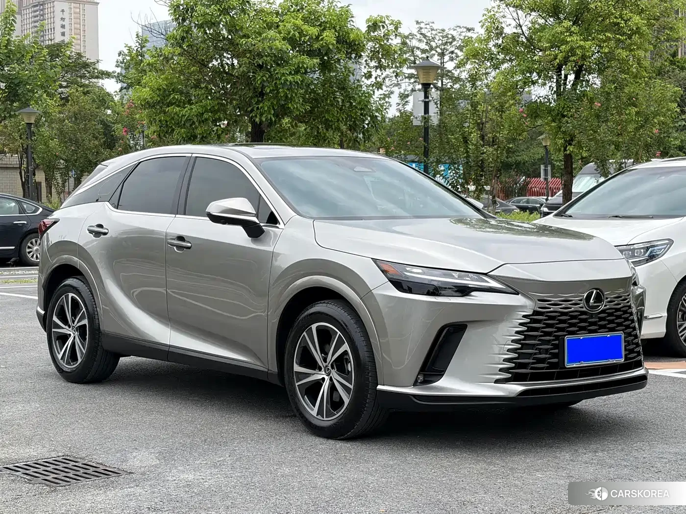 Lexus RX id 4644613 из Китая 13