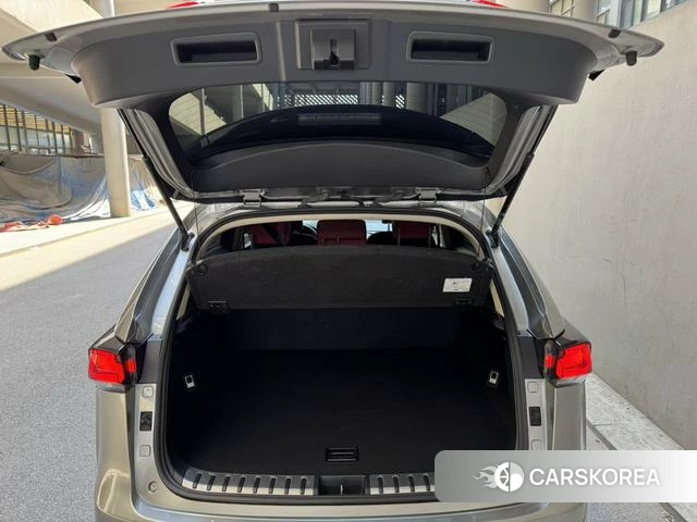 Lexus NX id 4299907 из Китая 13