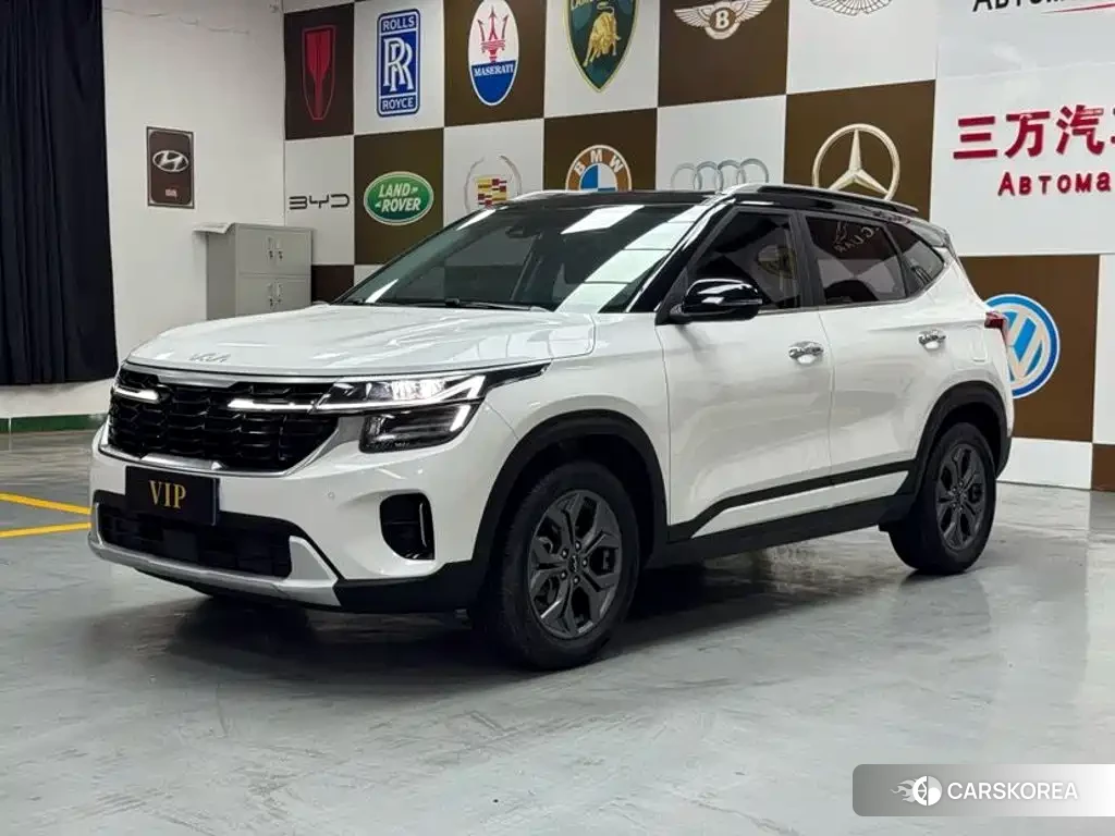 Kia Seltos id 4629120 из Китая 13