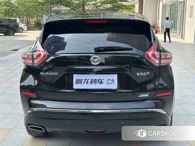 Nissan Loulan id 4220545 из Китая 13