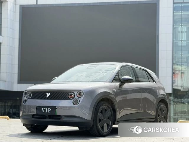 firefly firefly Unknown id 4198869 из Китая 13