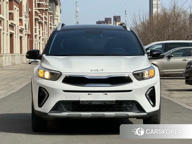 Kia Yi Ran id 4313578 из Китая 13
