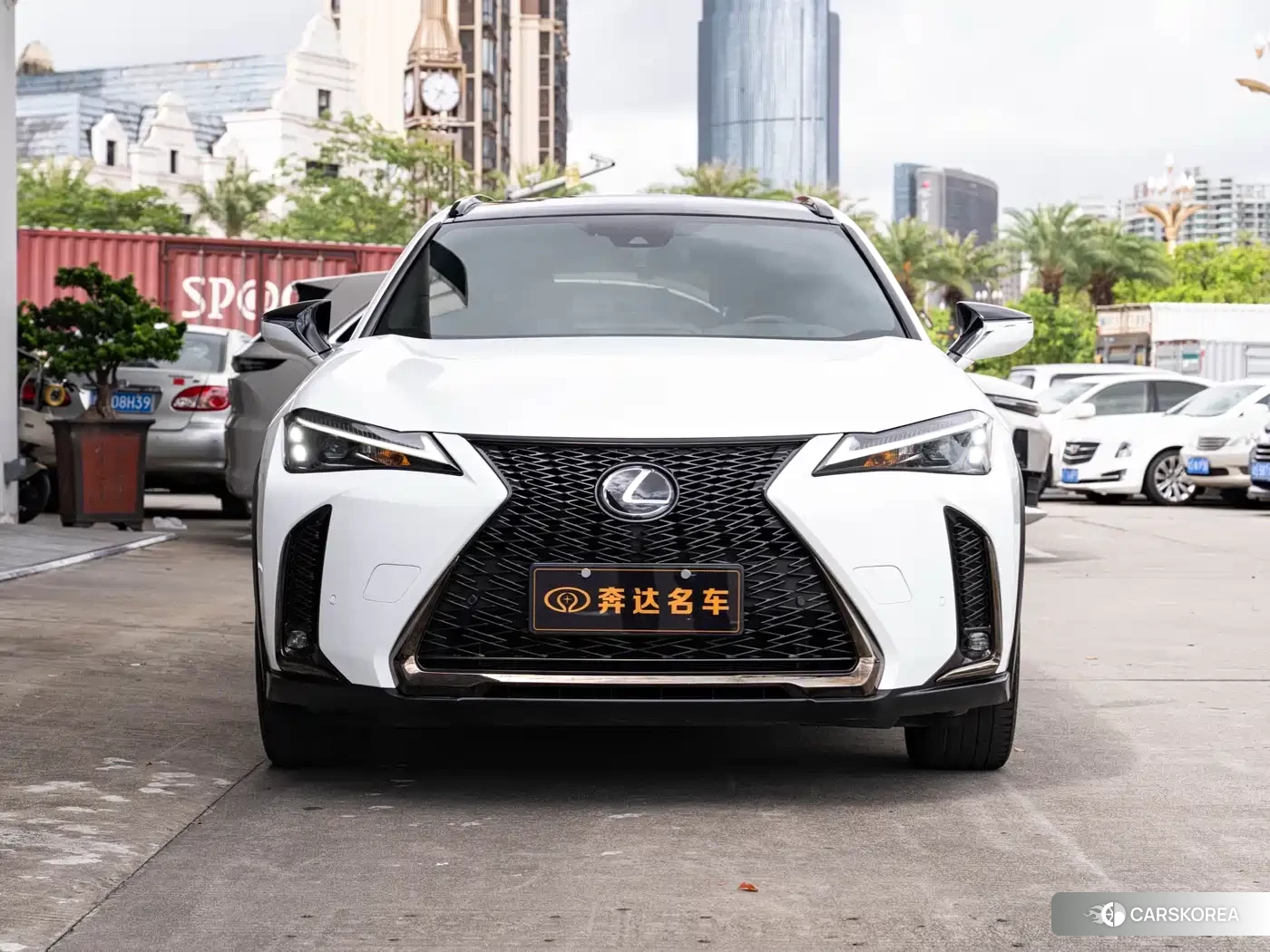 Lexus UX id 4546120 из Китая 13