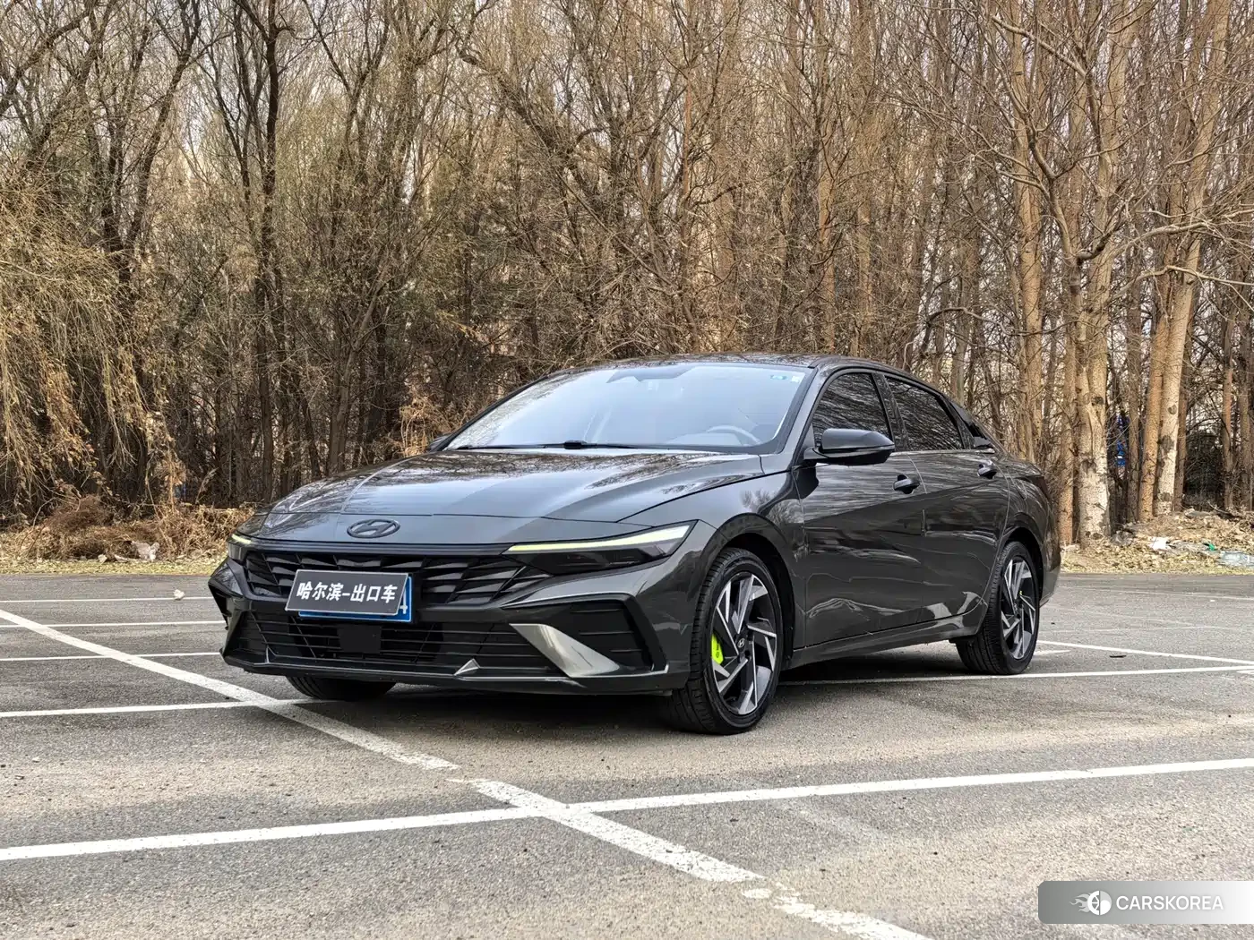 Hyundai Elantra id 4600494 из Китая 13