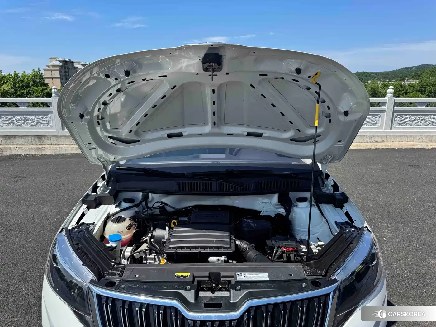 Skoda Kamiq id 4601820 из Китая 13