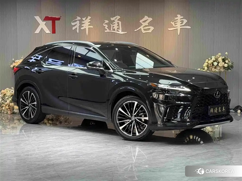 Lexus RX id 4559793 из Китая 13
