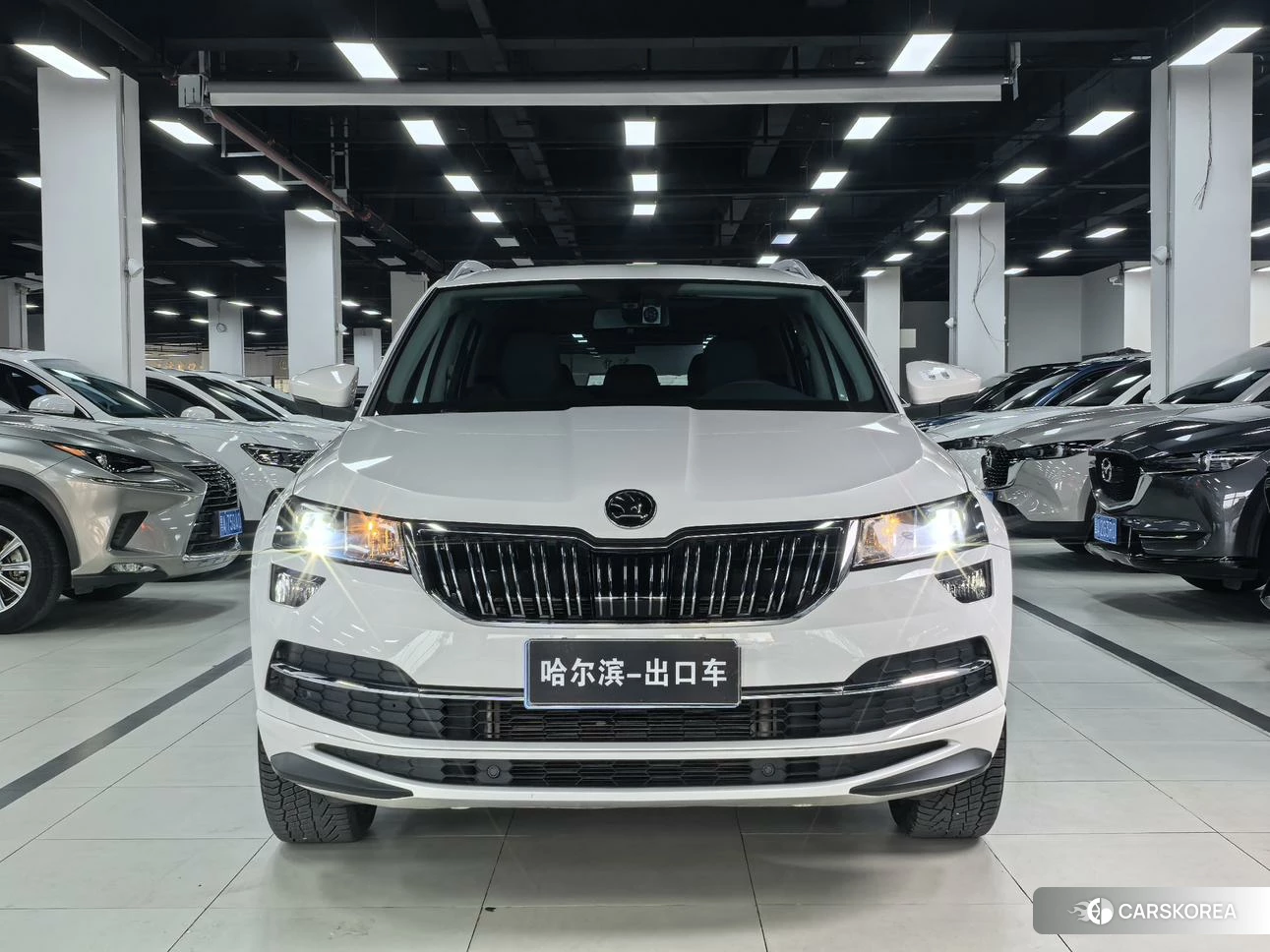 Skoda Krok id 4452155 из Китая 13
