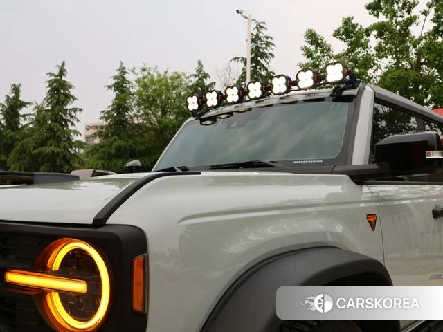 Ford Lie Ma id 4254541 из Китая 13