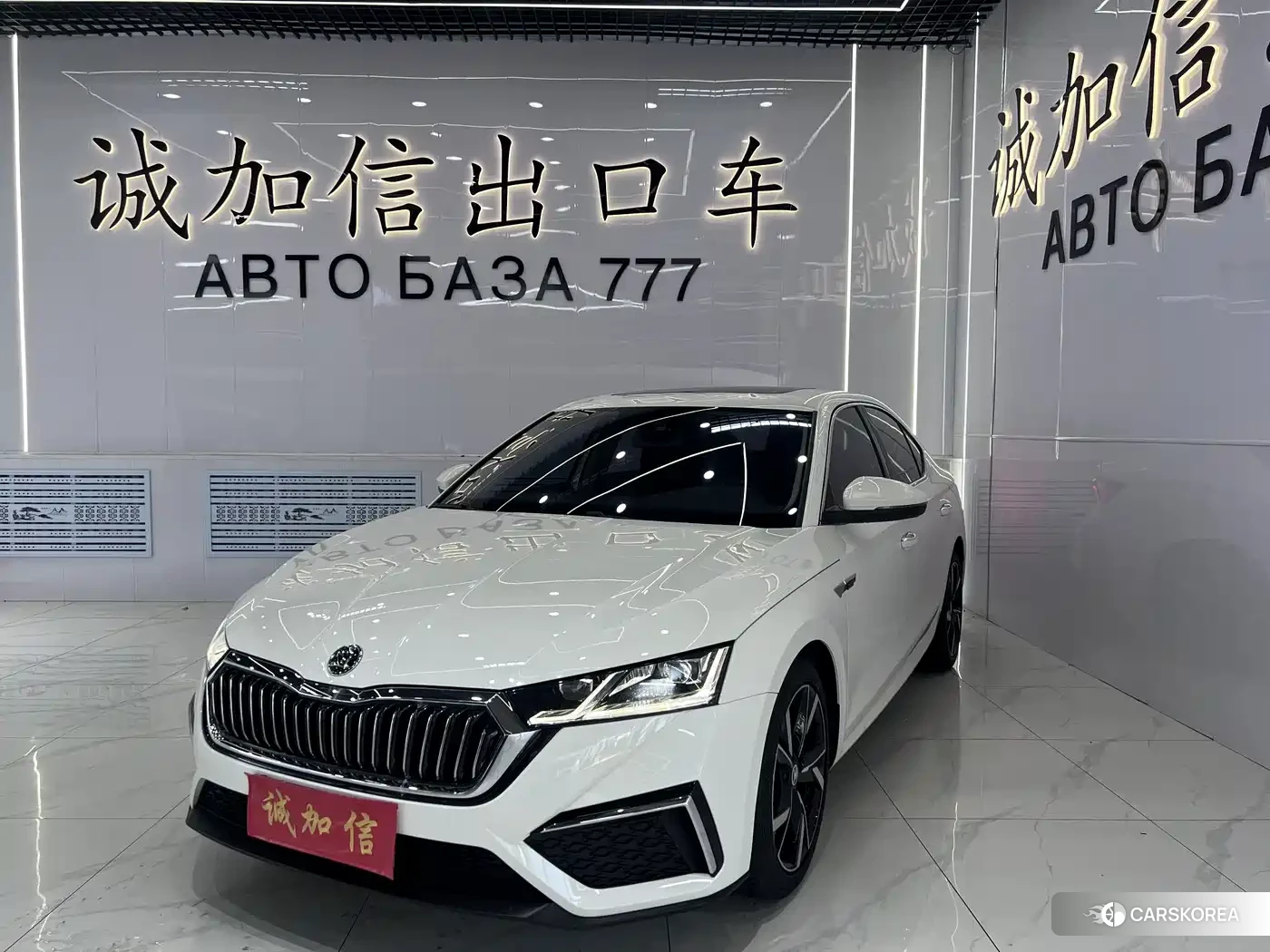 Skoda Octavia id 4669275 из Китая 13