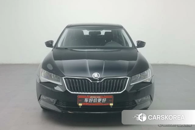 Skoda Speed pie id 4210065 из Китая 13