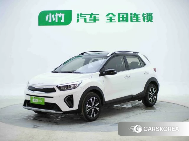 Kia Yi Ran id 4336374 из Китая 14