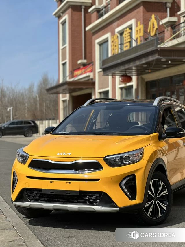 Kia Yi Ran id 4208908 из Китая 14