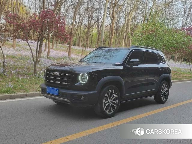 Haval Big dog id 3901824 из Китая 14