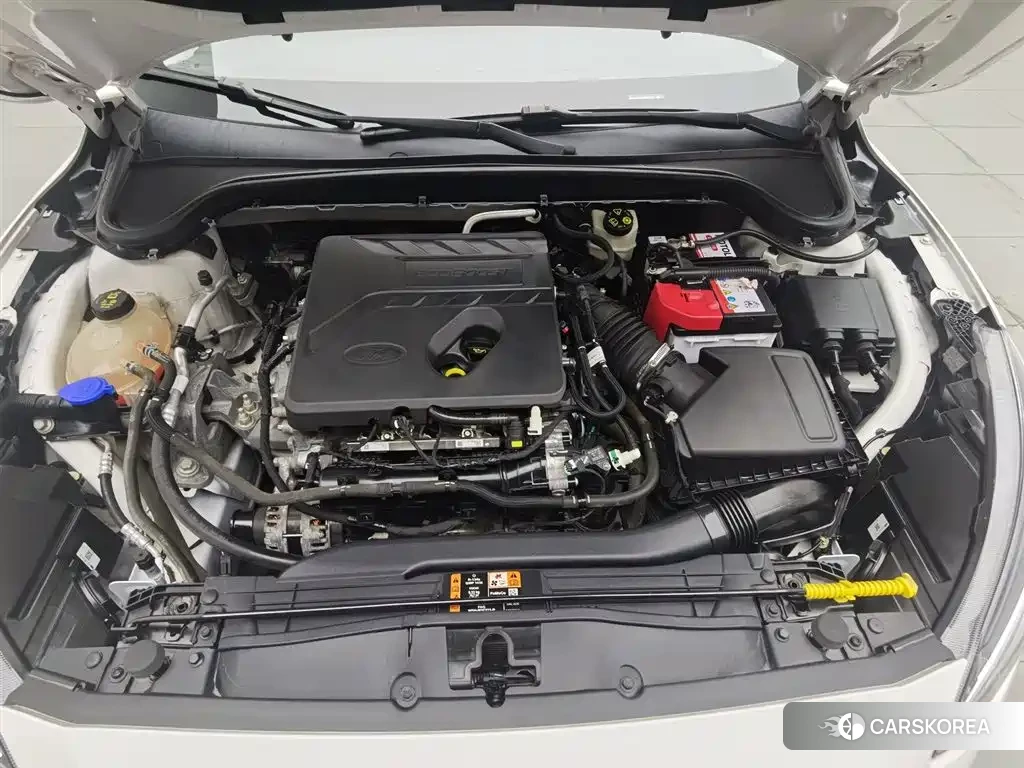 Ford Fox id 4565210 из Китая 14