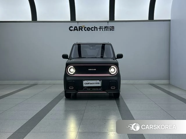 Geely Galaxy panda id 3907942 из Китая 14