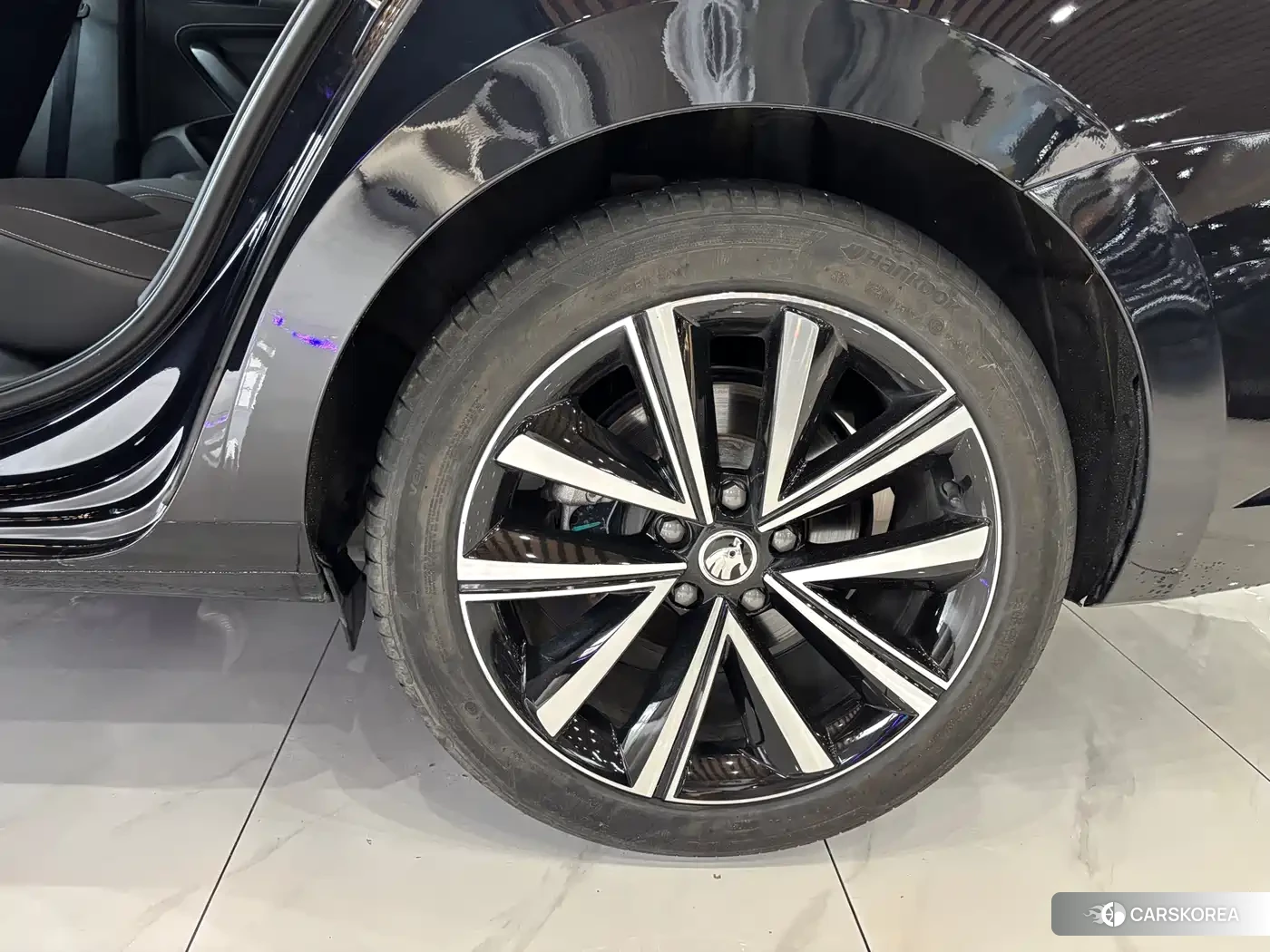 Skoda Speed pie id 4538741 из Китая 14