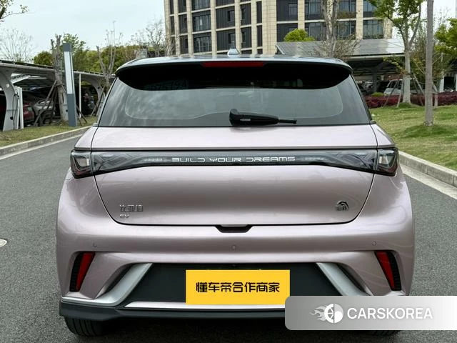 BYD dolphin id 4211195 из Китая 14