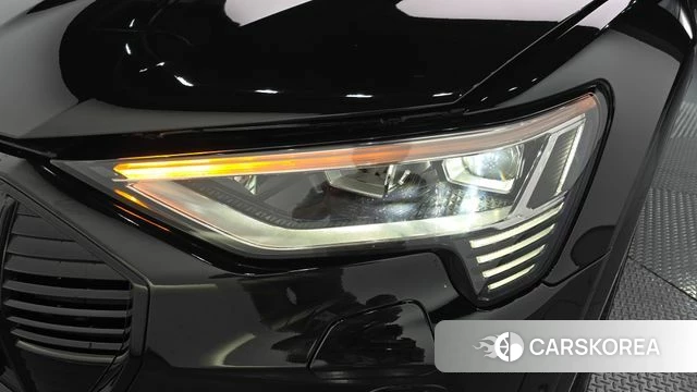 Audi e-Tron id 4444999 из Кореи 14
