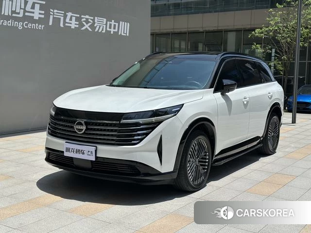 Nissan Exploring the land id 4220619 из Китая 14