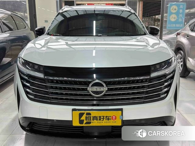 Nissan Exploring the land id 4272398 из Китая 14
