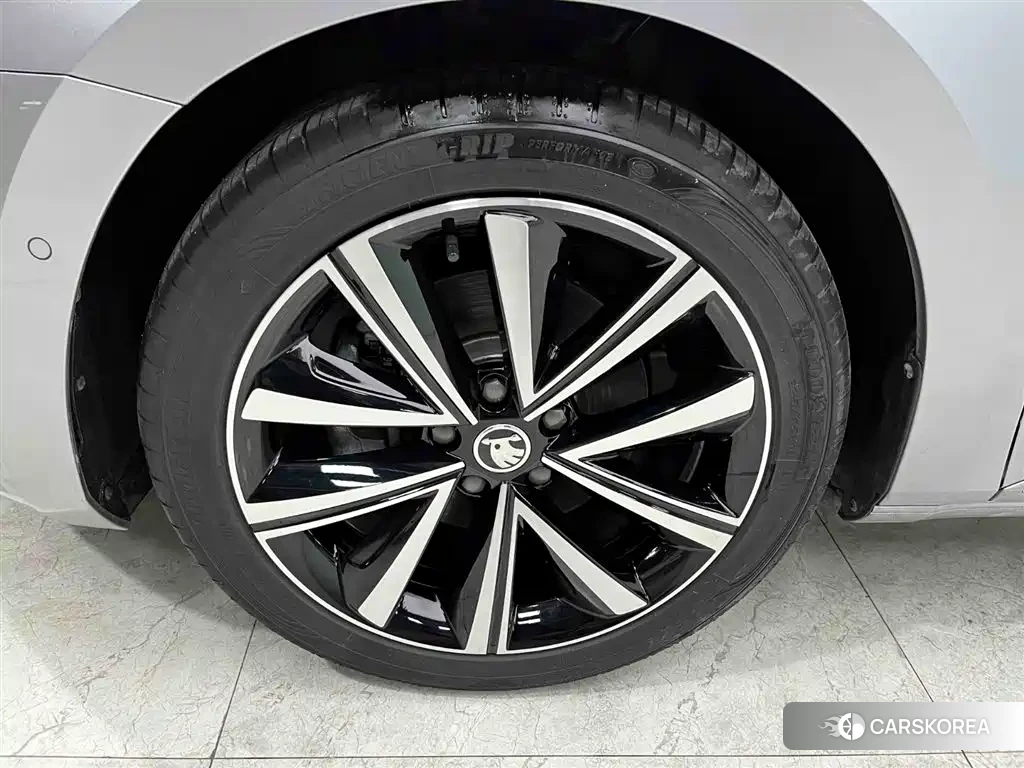 Skoda Speed pie id 4515552 из Китая 14