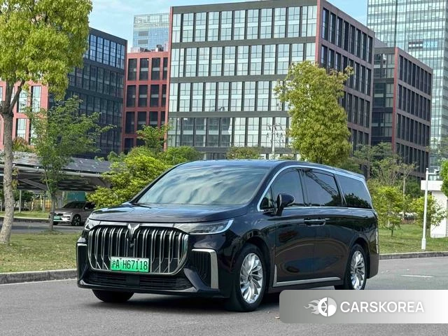 Lan Tu Dreamer PHEV id 3983140 из Китая 14