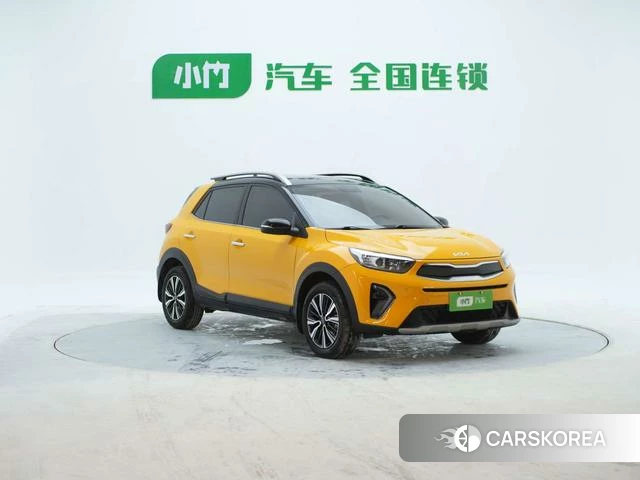 Kia Yi Ran id 4277452 из Китая 14