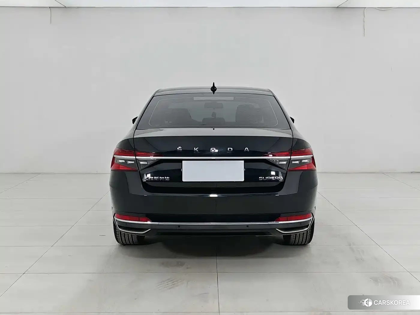 Skoda Speed pie id 4539013 из Китая 14
