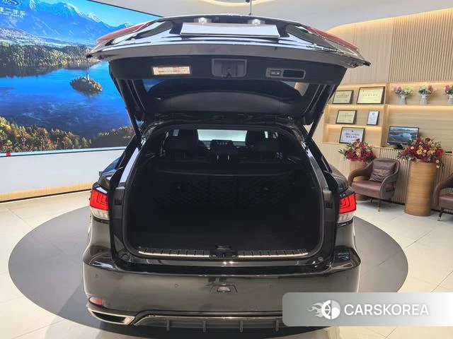 Lexus RX id 4353777 из Китая 14